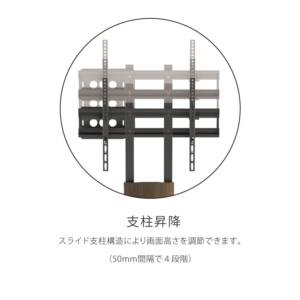 MTF マウントFuji – asahiwood